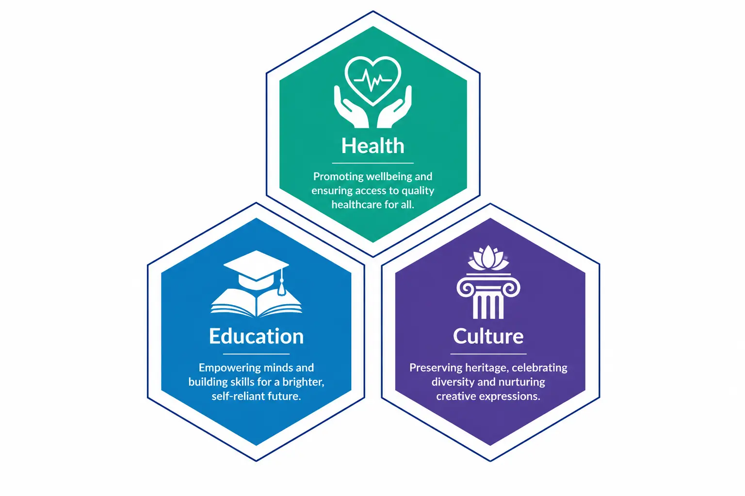 About ProPlus Foundation